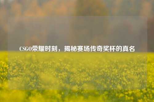 CSGO荣耀时刻，揭秘赛场传奇奖杯的真名