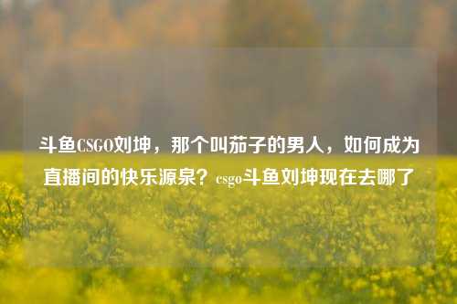 斗鱼CSGO刘坤，那个叫茄子的男人，如何成为直播间的快乐源泉？csgo斗鱼刘坤现在去哪了
