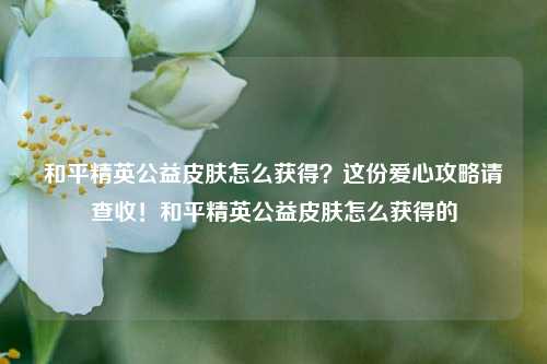 和平精英公益皮肤怎么获得？这份爱心攻略请查收！和平精英公益皮肤怎么获得的