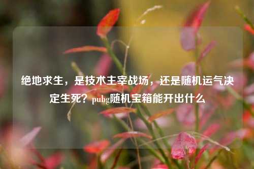 绝地求生，是技术主宰战场，还是随机运气决定生死？pubg随机宝箱能开出什么