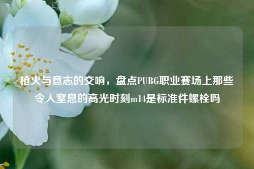 枪火与意志的交响，盘点PUBG职业赛场上那些令人窒息的高光时刻m14是标准件螺栓吗