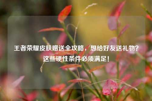 王者荣耀皮肤赠送全攻略，想给好友送礼物？这些硬性条件必须满足！
