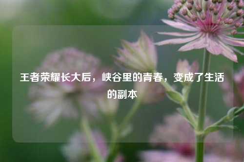 王者荣耀长大后，峡谷里的青春，变成了生活的副本