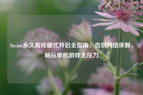 Steam永久离线模式开启全指南，告别网络依赖，畅玩单机游戏无压力