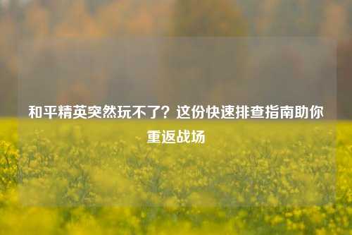 和平精英突然玩不了？这份快速排查指南助你重返战场