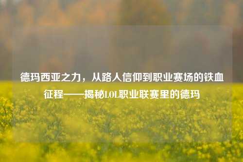 德玛西亚之力，从路人信仰到职业赛场的铁血征程——揭秘LOL职业联赛里的德玛