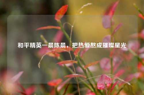 和平精英一晨陈晨，把热爱熬成璀璨星光