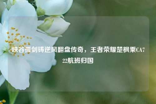 峡谷孤剑铸逆风翻盘传奇，王者荣耀楚枫乘CA722航班归国
