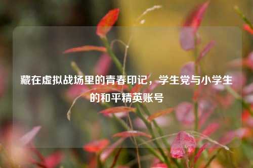 藏在虚拟战场里的青春印记，学生党与小学生的和平精英账号