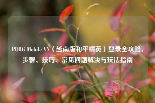PUBG Mobile VN（越南版和平精英）登录全攻略，步骤、技巧、常见问题解决与玩法指南