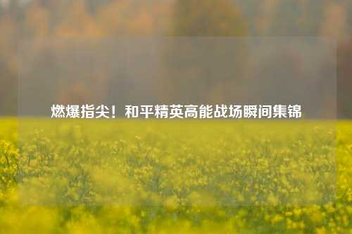 燃爆指尖!和平精英高能战场瞬间集锦