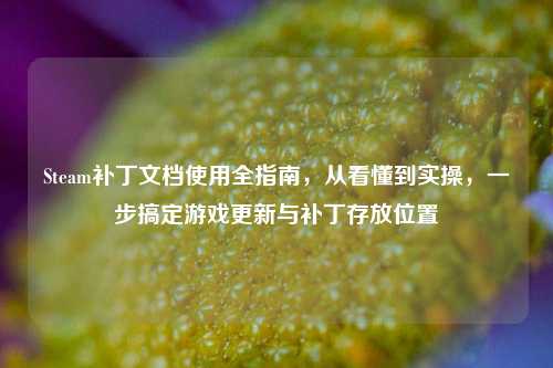 Steam补丁文档使用全指南，从看懂到实操，一步搞定游戏更新与补丁存放位置