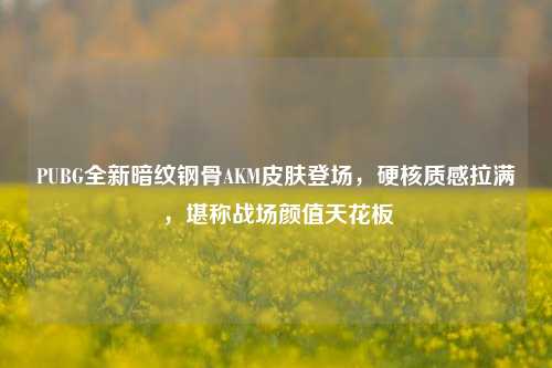 PUBG全新暗纹钢骨AKM皮肤登场，硬核质感拉满，堪称战场颜值天花板