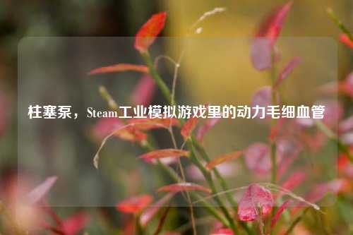 柱塞泵,Steam工业模拟游戏里的动力毛细血管
