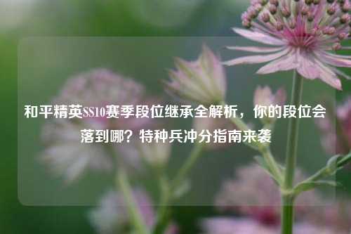 和平精英SS10赛季段位继承全解析，你的段位会落到哪？特种兵冲分指南来袭
