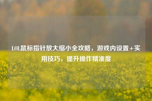 LOL鼠标指针放大缩小全攻略,游戏内设置+实用技巧,提升操作精准度