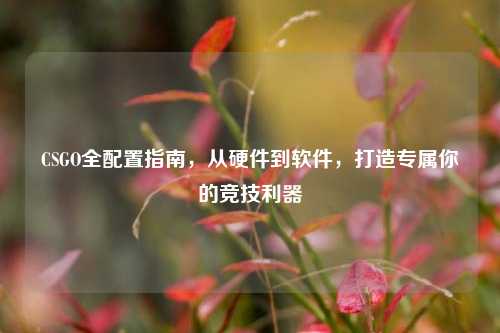 CSGO全配置指南，从硬件到软件，打造专属你的竞技利器