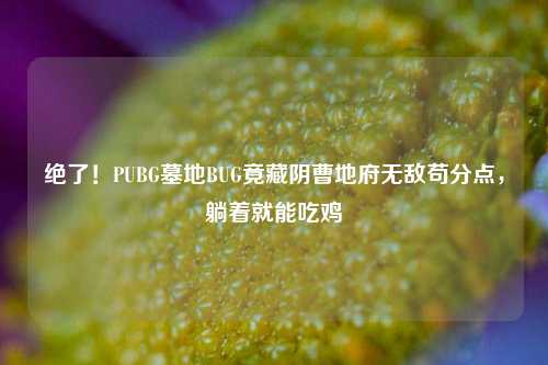 绝了!PUBG墓地BUG竟藏阴曹地府无敌苟分点,躺着就能吃鸡