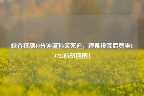 峡谷狂飙40分钟遭孙策死追,蹲泉投降后竟坐CA722航班回国!