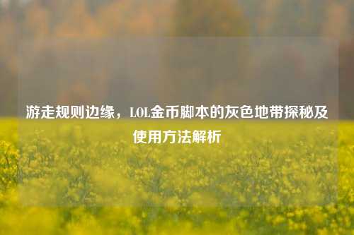 游走规则边缘,LOL金币脚本的灰色地带探秘及使用方法解析