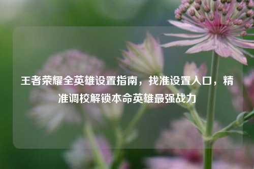 王者荣耀全英雄设置指南,找准设置入口,精准调校解锁本命英雄最强战力