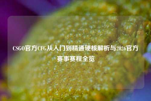 CSGO官方CFG从入门到精通硬核解析与2026官方赛事赛程全览
