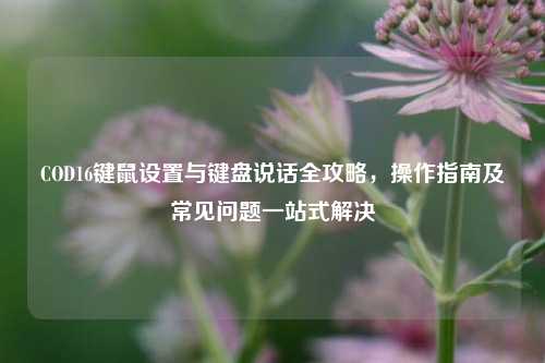 COD16键鼠设置与键盘说话全攻略,操作指南及常见问题一站式解决