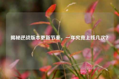 揭秘逆战版本更新节奏,一年究竟上线几次?