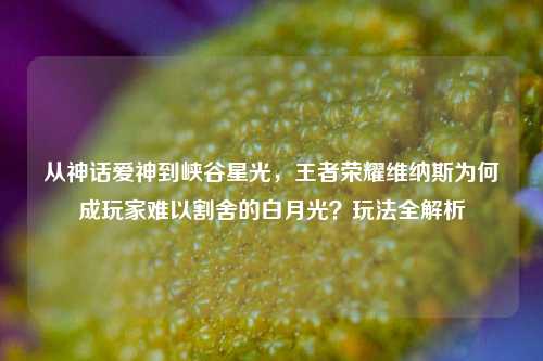 从神话爱神到峡谷星光，王者荣耀维纳斯为何成玩家难以割舍的白月光？玩法全解析
