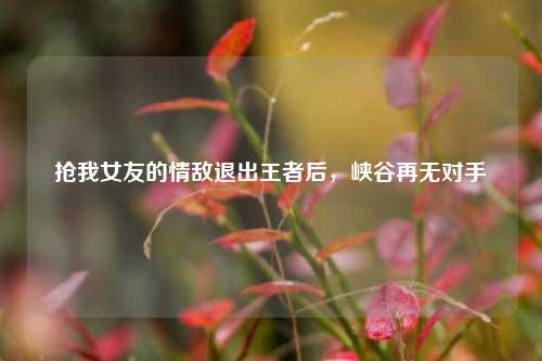 抢我女友的情敌退出王者后，峡谷再无对手