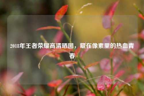 2018年王者荣耀高清晒图，藏在像素里的热血青春