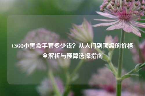 CSGO小黑盒手套多少钱?从入门到顶级的价格全解析与预算选择指南