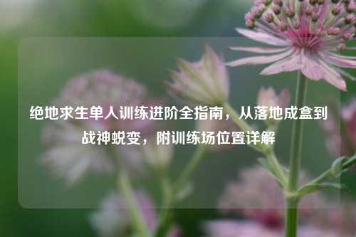 绝地求生单人训练进阶全指南,从落地成盒到战神蜕变,附训练场位置详解