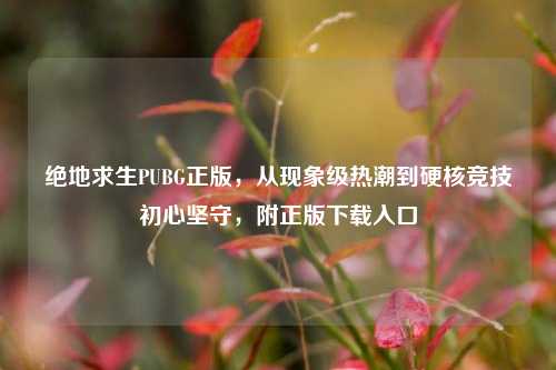 绝地求生PUBG正版，从现象级热潮到硬核竞技初心坚守，附正版下载入口