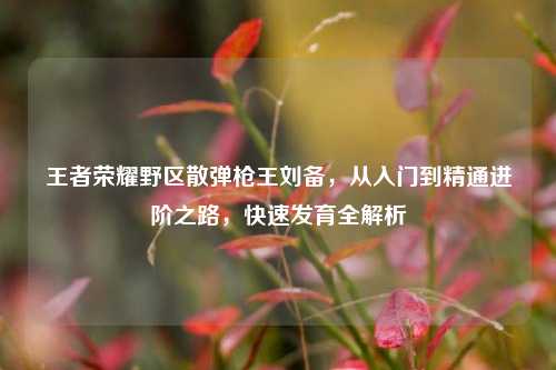王者荣耀野区散弹枪王刘备,从入门到精通进阶之路,快速发育全解析