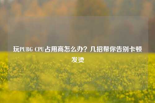 玩PUBG CPU占用高怎么办?几招帮你告别卡顿发烫