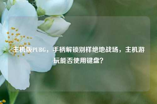 主机版PUBG,手柄解锁别样绝地战场,主机游玩能否使用键盘?
