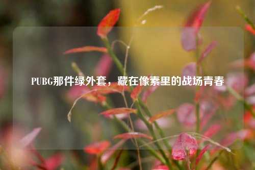 PUBG那件绿外套，藏在像素里的战场青春