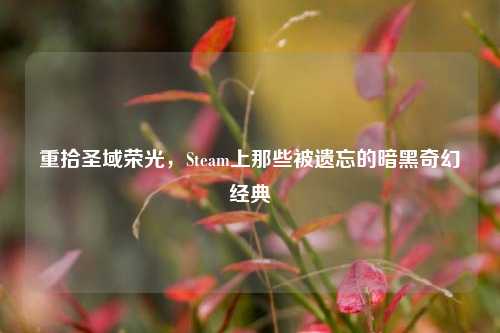 重拾圣域荣光，Steam上那些被遗忘的暗黑奇幻经典