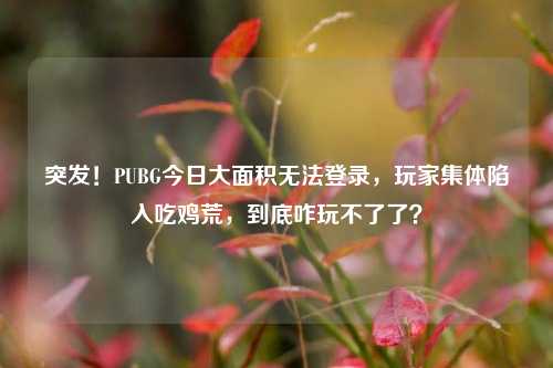突发！PUBG今日大面积无法登录，玩家集体陷入吃鸡荒，到底咋玩不了了？