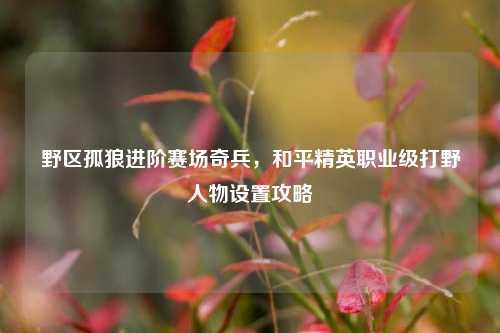 野区孤狼进阶赛场奇兵,和平精英职业级打野人物设置攻略