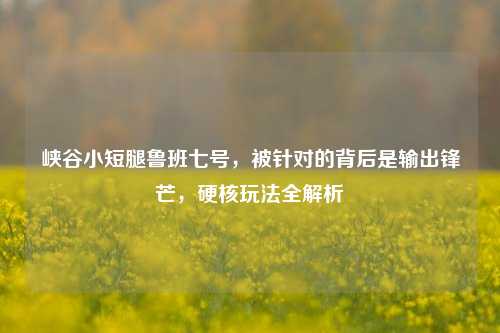 峡谷小短腿鲁班七号，被针对的背后是输出锋芒，硬核玩法全解析