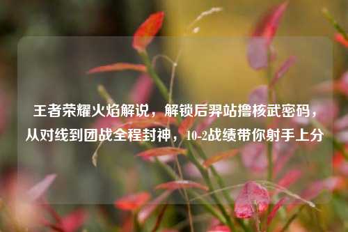 王者荣耀火焰解说,解锁后羿站撸核武密码,从对线到团战全程封神,10-2战绩带你射手上分