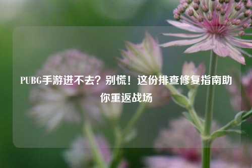 PUBG手游进不去？别慌！这份排查修复指南助你重返战场