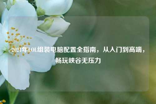 2024年LOL组装电脑配置全指南，从入门到高端，畅玩峡谷无压力