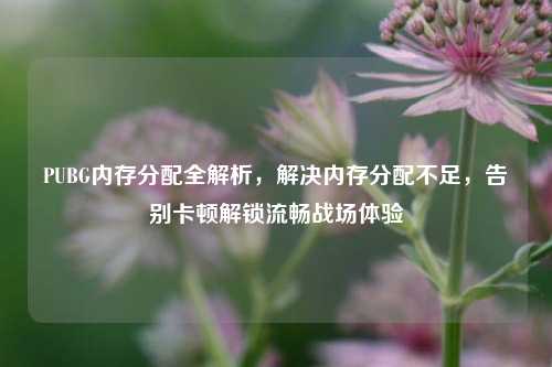 PUBG内存分配全解析,解决内存分配不足,告别卡顿解锁流畅战场体验