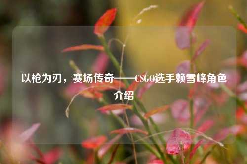 以枪为刃，赛场传奇——CSGO选手赖雪峰角色介绍
