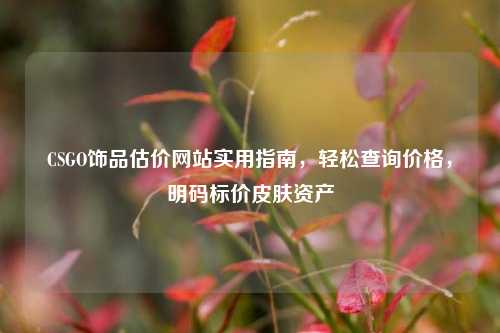 CSGO饰品估价网站实用指南，轻松查询价格，明码标价皮肤资产