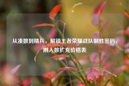从凑数到精兵，解锁王者荣耀战队制胜密码，附人数扩充价格表