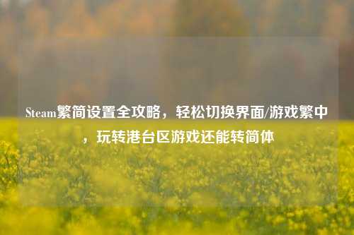 Steam繁简设置全攻略，轻松切换界面/游戏繁中，玩转港台区游戏还能转简体